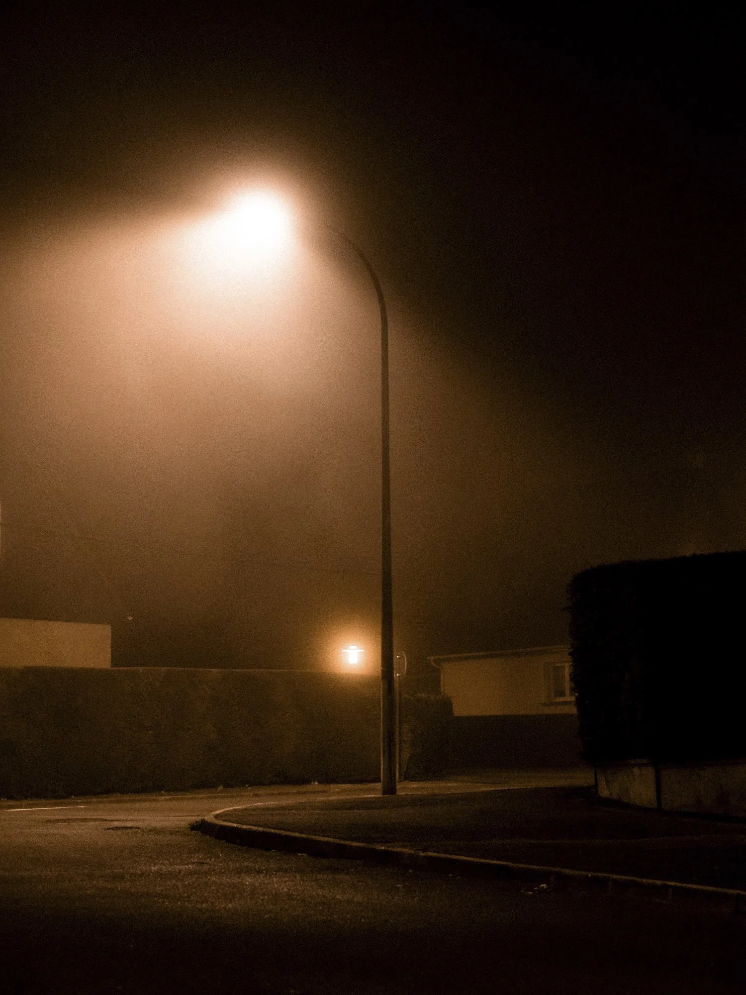 Nighttime scene of a foggy street with a streetlamp casting a soft glow over the wet pavement, houses, and a hedge in the background.