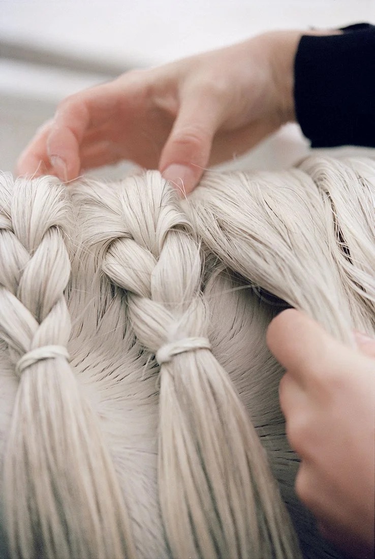 Close-up of a person braiding a horse's light-colored mane.