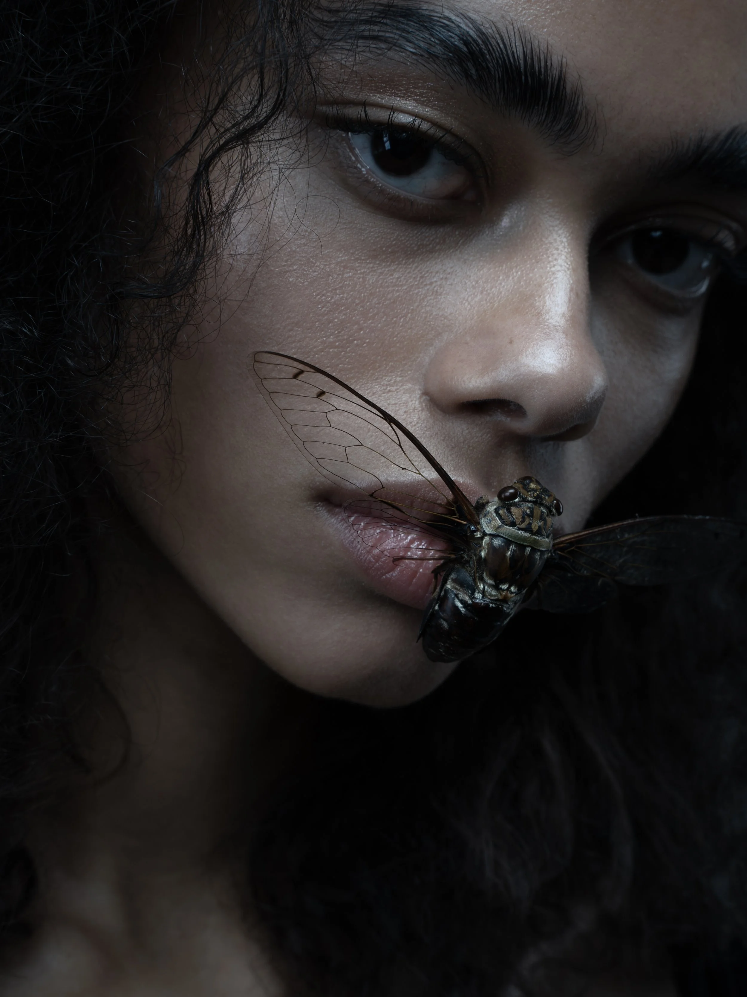 Close-up of a woman with dark curly hair and makeup, with a large fly resting on her lips.