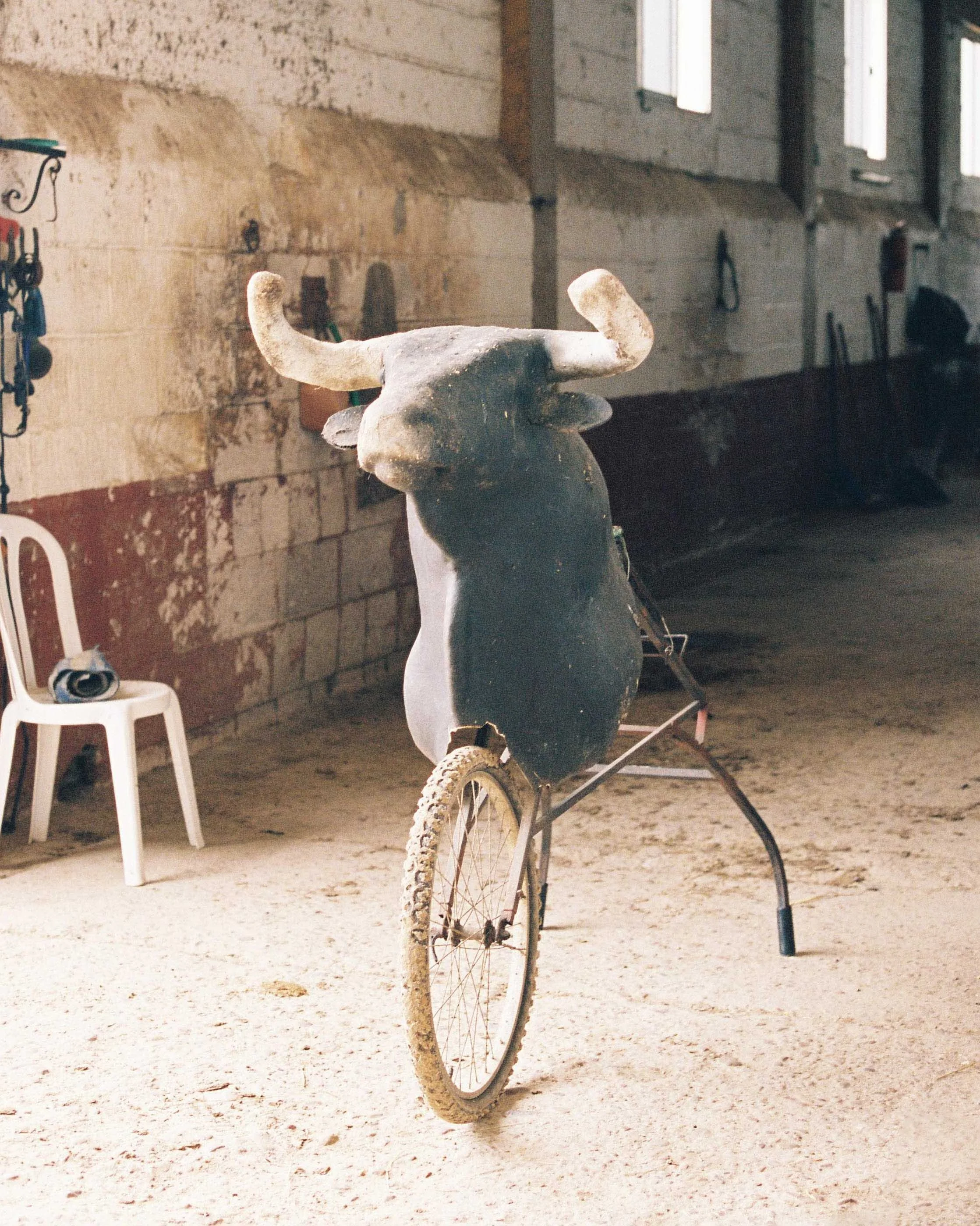 A bull sculpture with horns mounted on a bicycle frame in a rustic indoor setting.