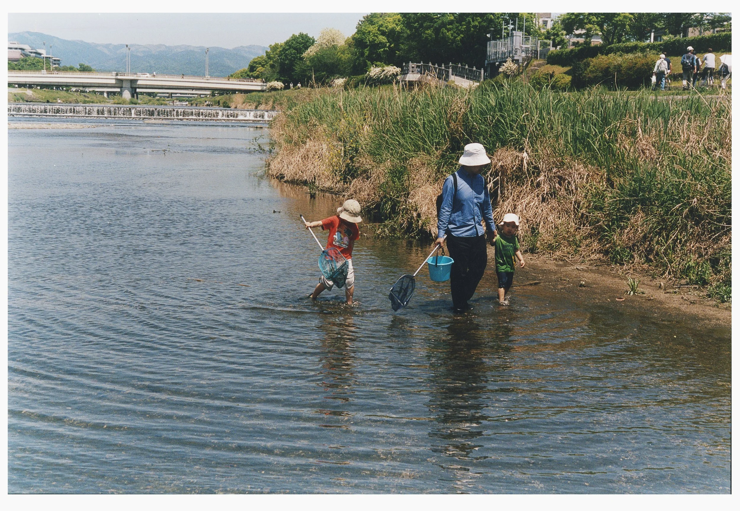 A family with children wading in the shallow water of a river, carrying nets and buckets, some wearing hats, with a grassy riverbank and a park in the background.