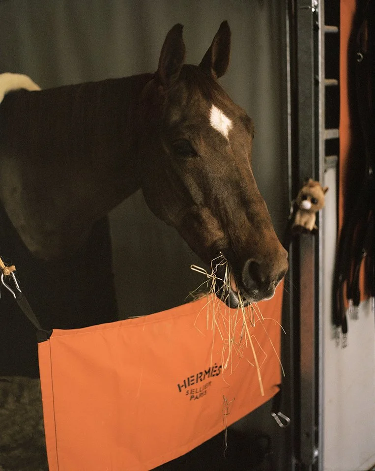 A brown horse chewing hay through an orange side pocket with the brand name 'HERMÈS' written on it, in a stable or grooming area.