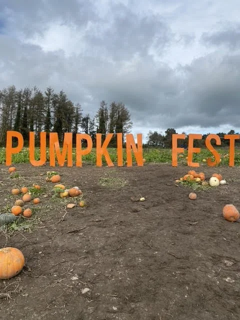 Top 10 Pumpkin Patches in the UK for the Ultimate Autumn Day Out