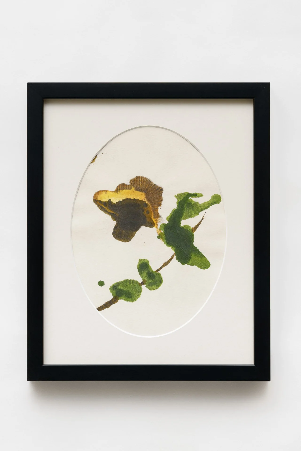 Herbarium (A4), #17, 2019, Tuschzeichnung, Unikat, 32,5 × 26,5 cm, 700,00 € 