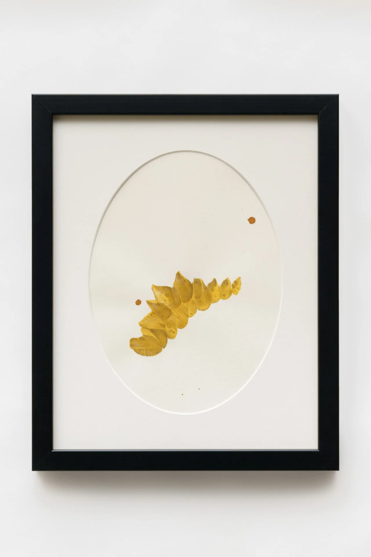 Herbarium (A4), #39, 2019, Tuschzeichnung, Unikat, 32,5 × 26,5 cm, 700,00 € 