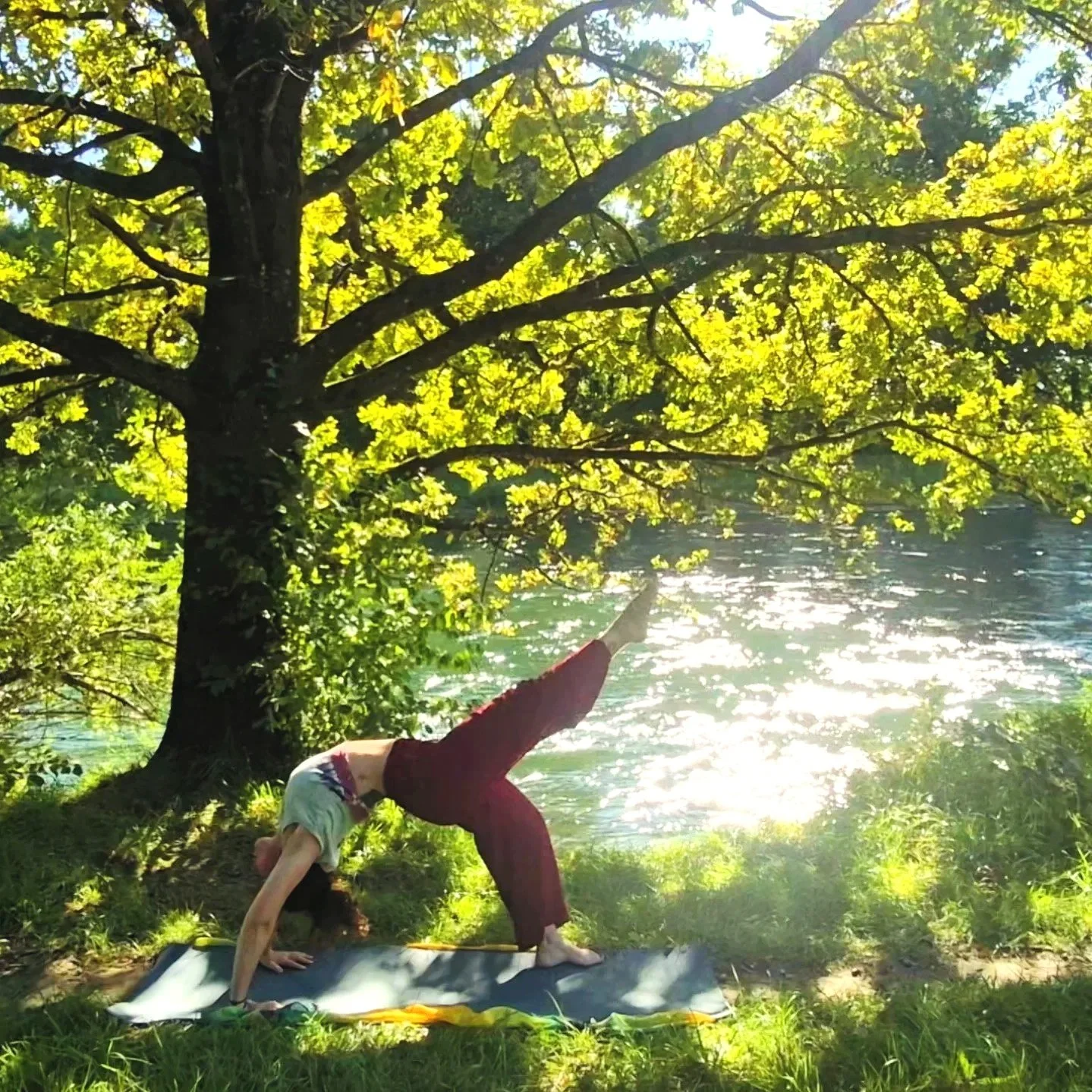 A woman practicing yoga outdoors near a lake, doing a side plank pose under a large leafy tree with sunlight reflecting on the water.