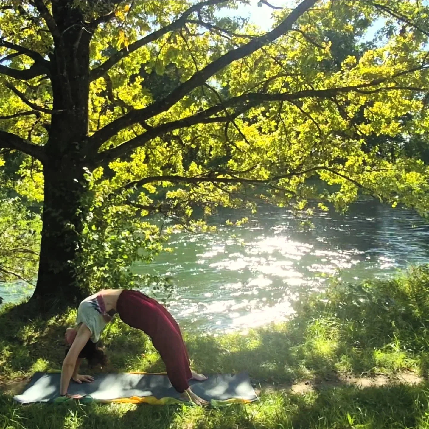 A person practicing yoga outdoors under a large tree near a body of water, performing a backbend on a yoga mat.