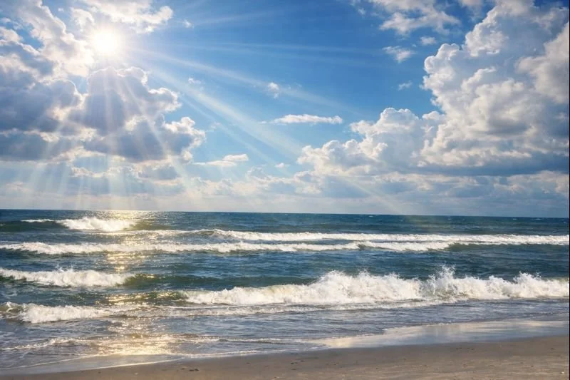 A Year of Wins and Waves