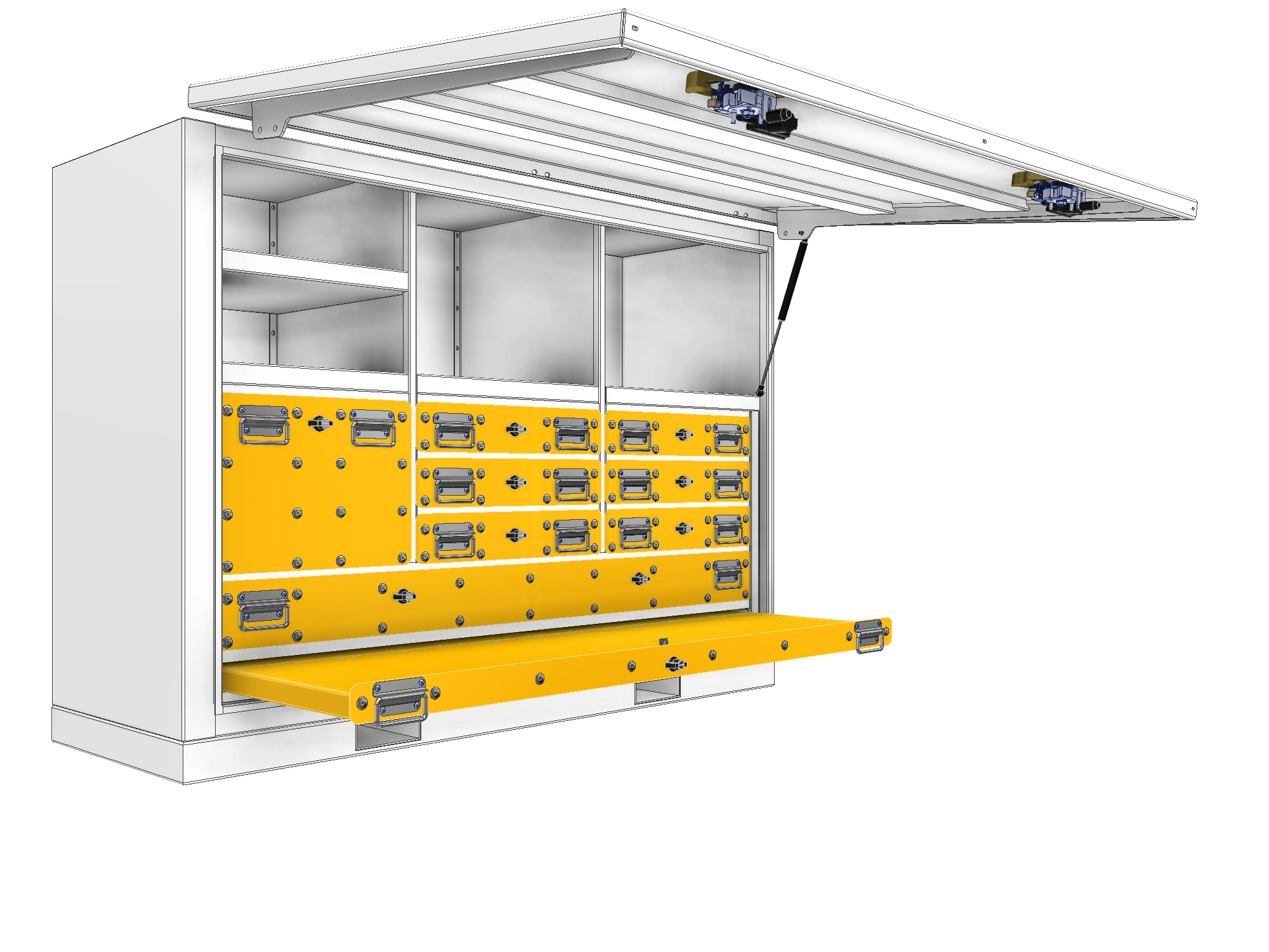 Tiernan Stafford - 4.png