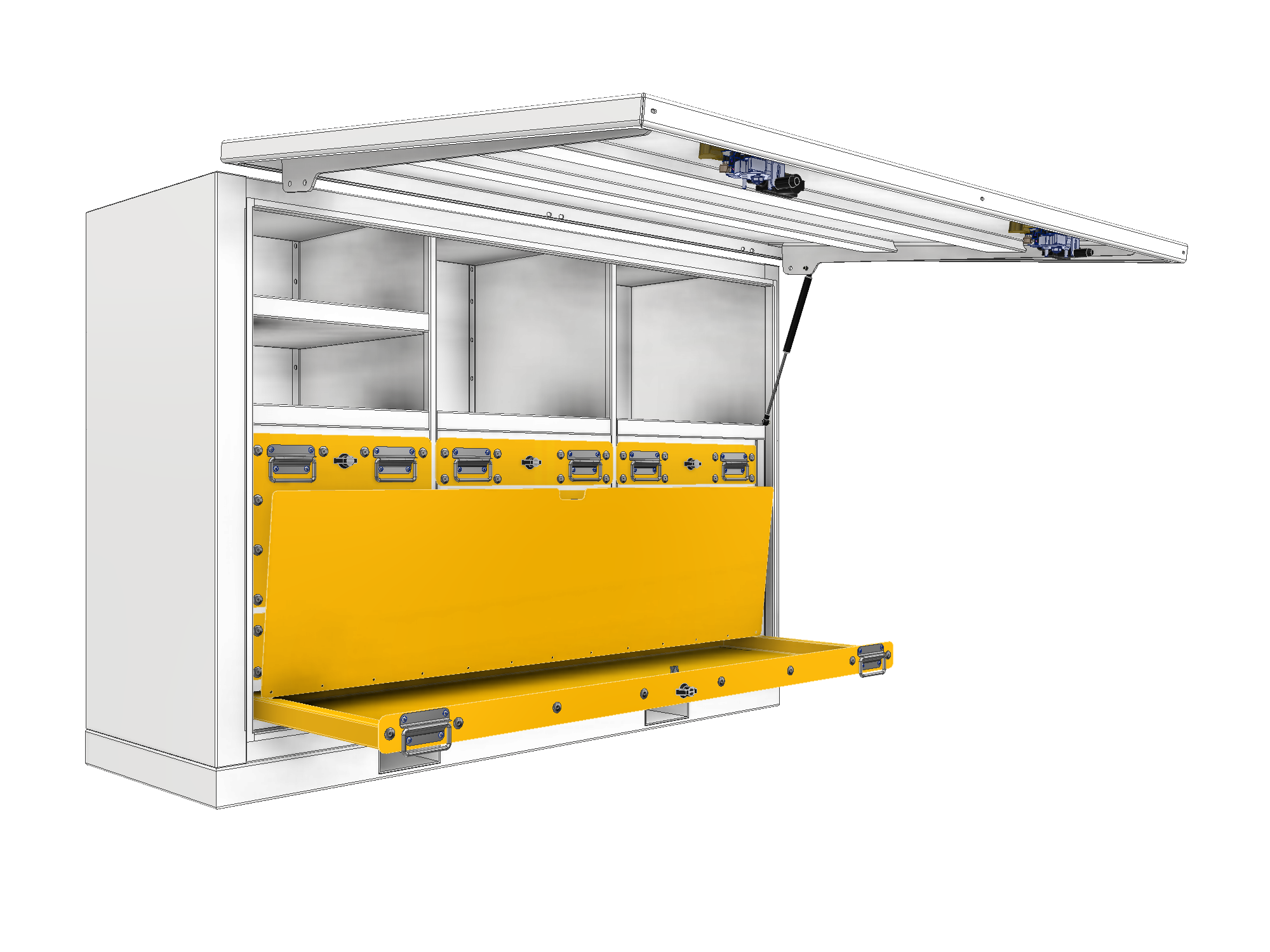 Tiernan Stafford - 3.png