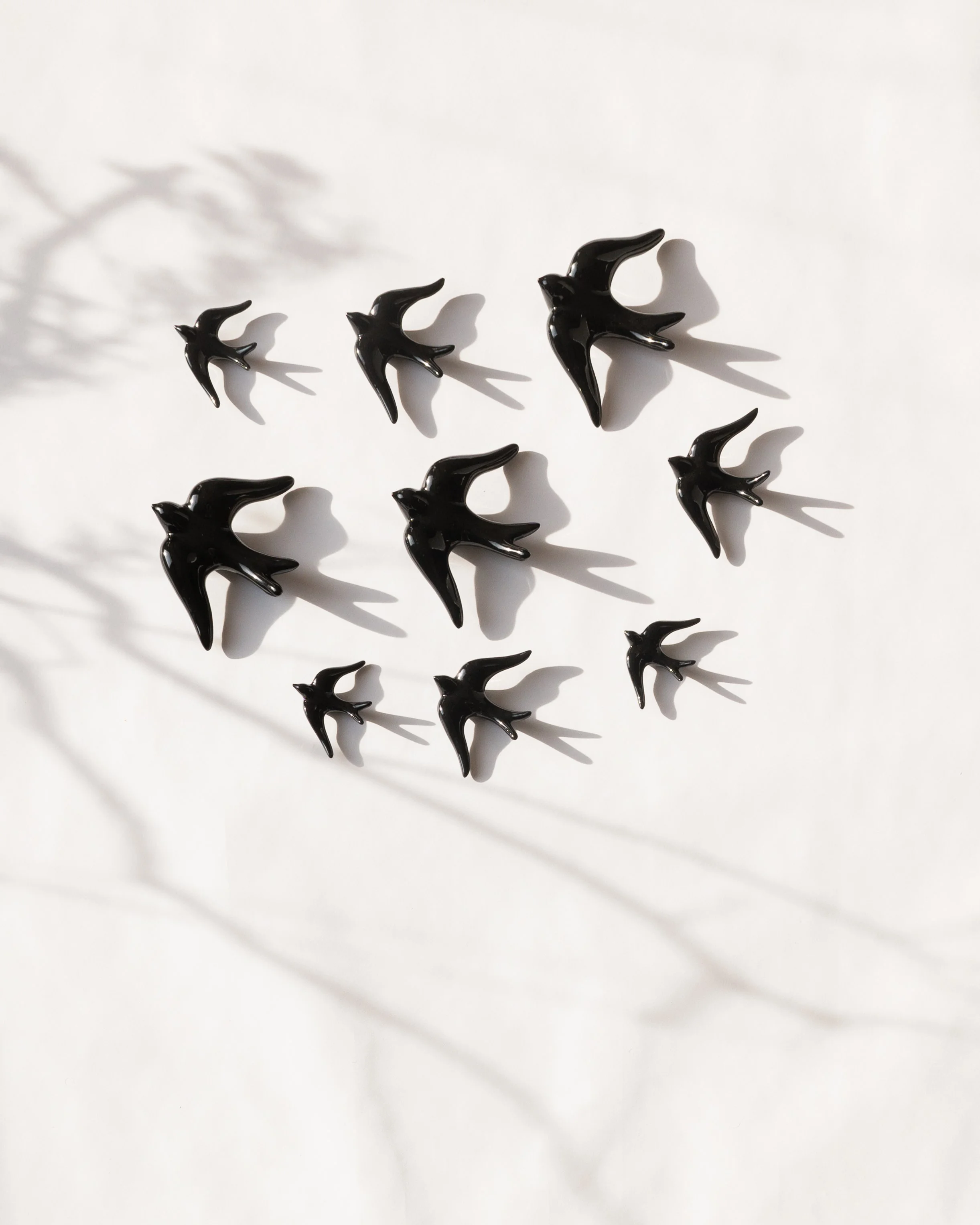 swallows-14.jpg