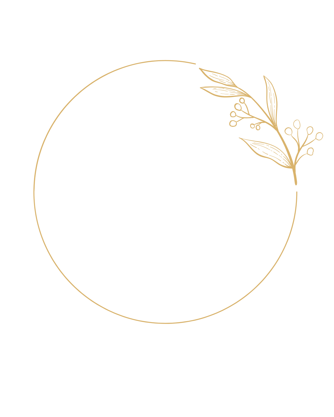 Ein idealer Rahmen für ein Foto, umgeben von einer goldenen Kreismarkierung mit einem stilisierten Pflanzen- und Pfanzenzweig-Design in der oberen rechten Ecke auf schwarzem Hintergrund.