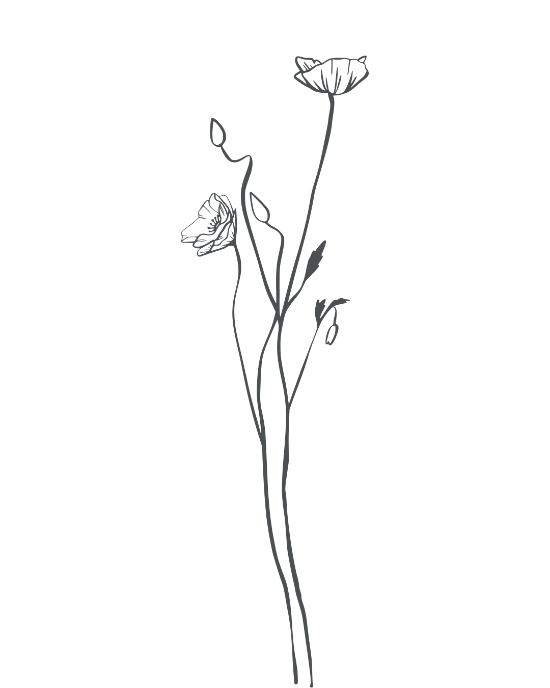 Skizze von einer stilisierten, minimalistischen Blumenzeichnung auf schwarzem Hintergrund, mit drei Blüten und einigen Blättern.