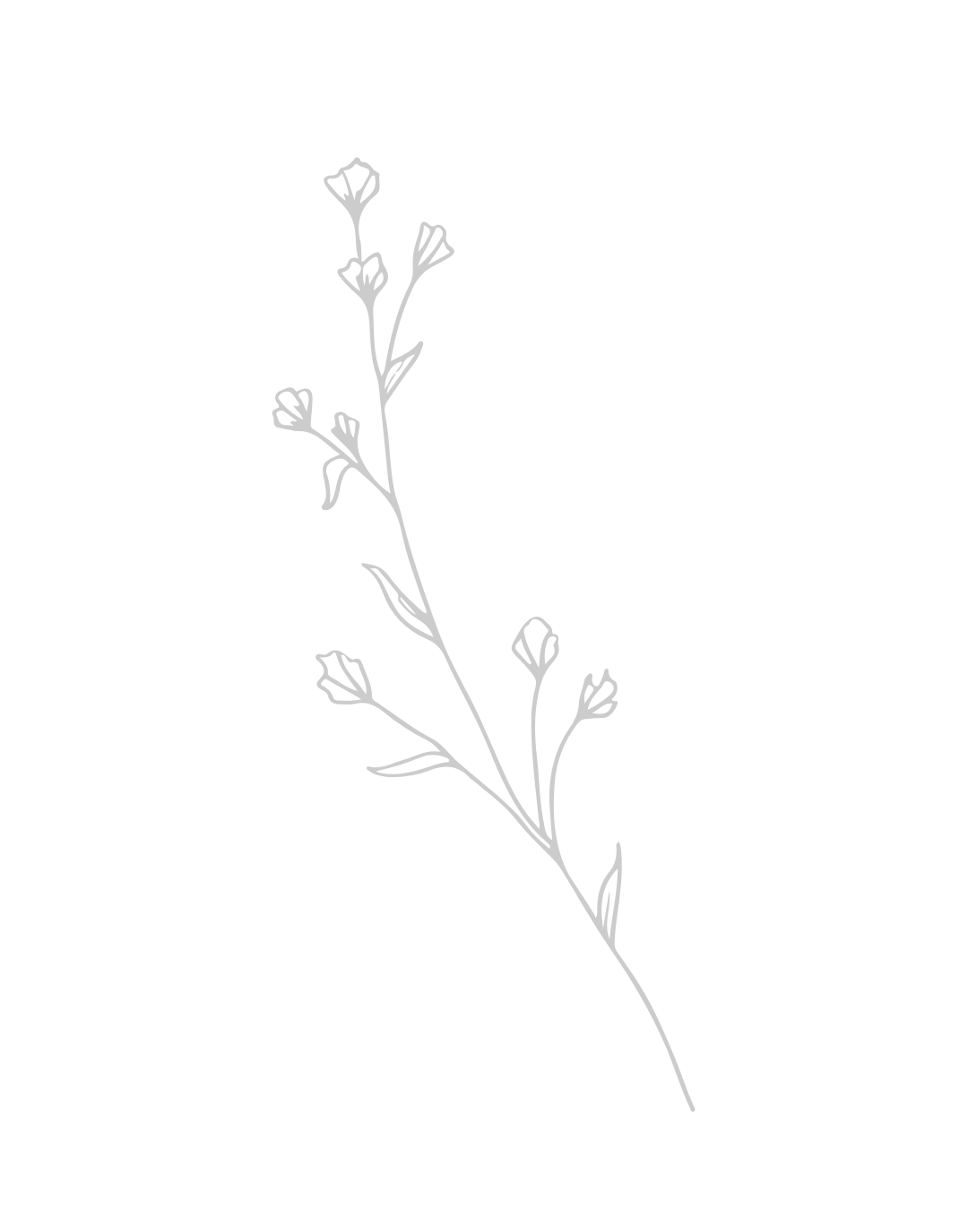 Eine stilisierte schwarze und weiße Illustration einer zarten Pflanzenranke mit kleinen Blüten