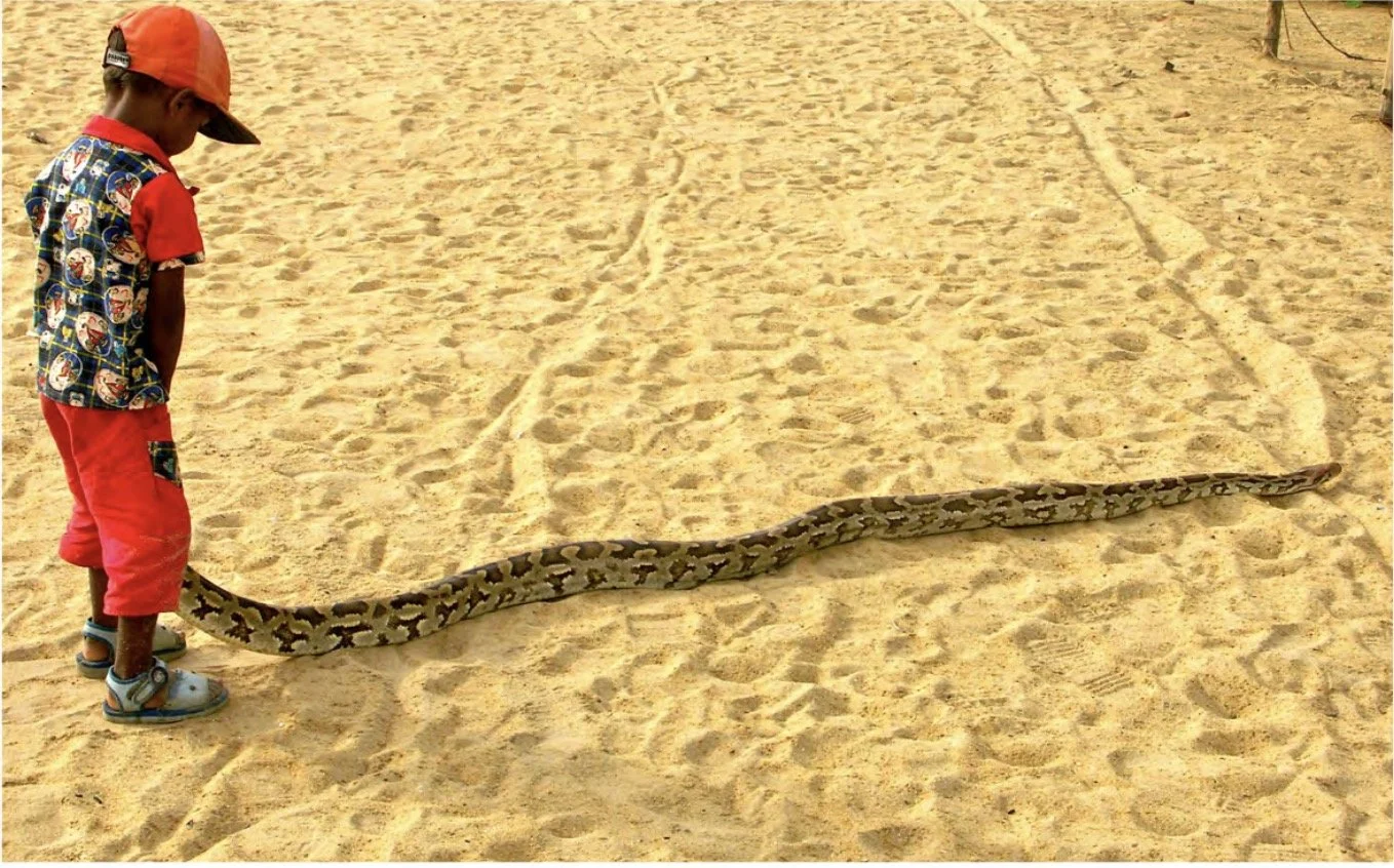 Screenshot 2026-02-16 at 14.16.42.jpg