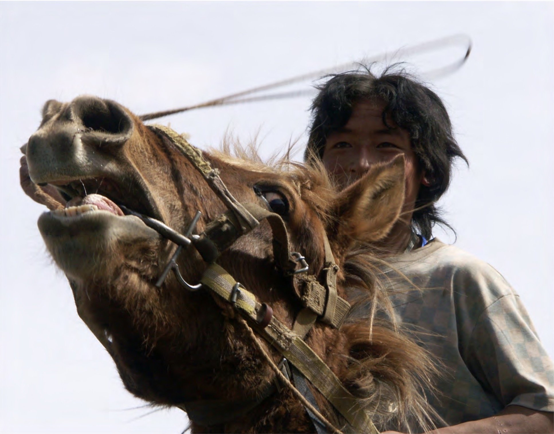 Screenshot 2026-02-16 at 09.35.59.jpg