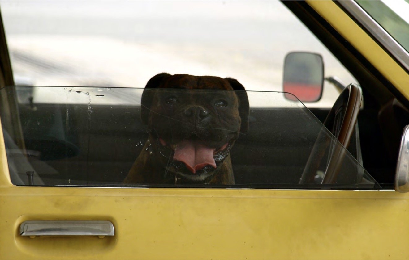 Screenshot 2026-02-16 at 14.08.43.jpg