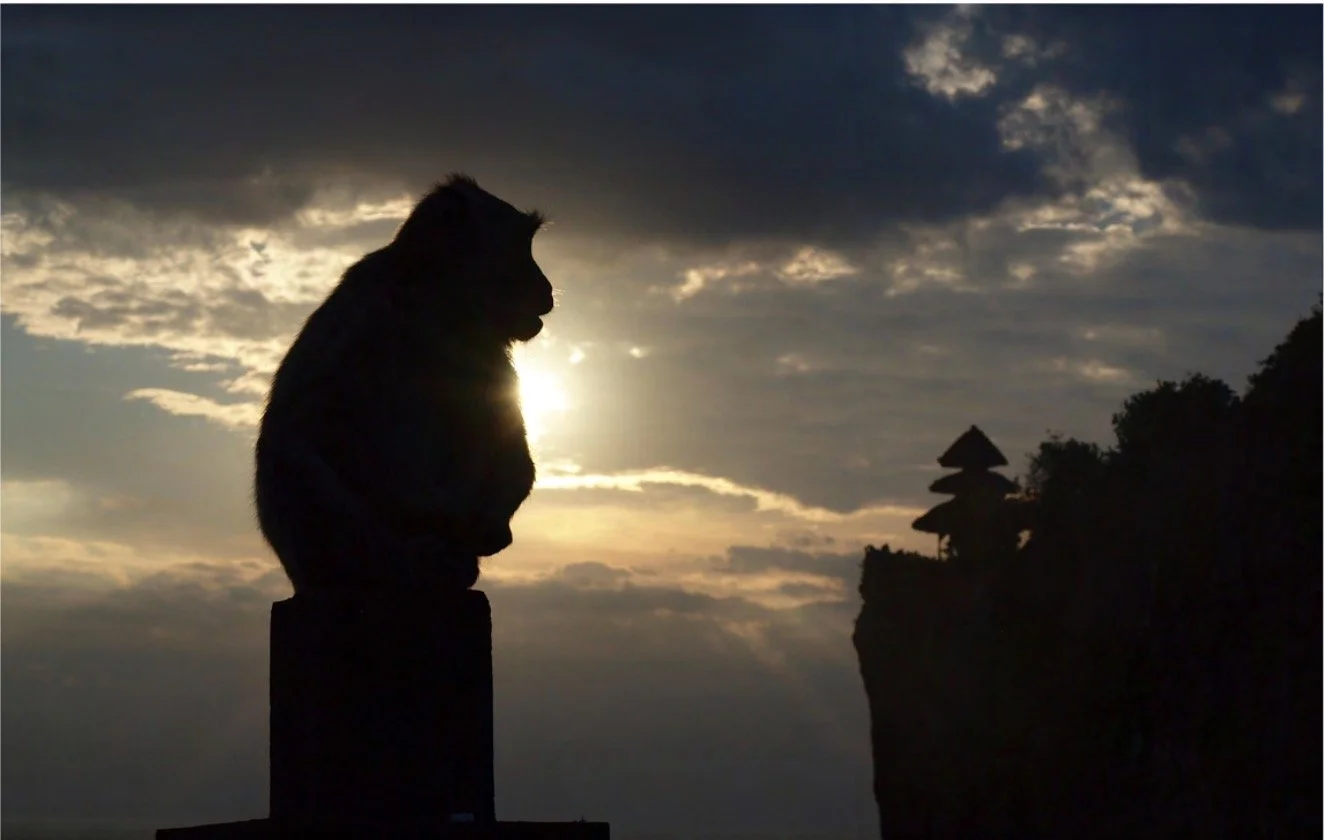 Screenshot 2026-02-16 at 14.02.59.jpg