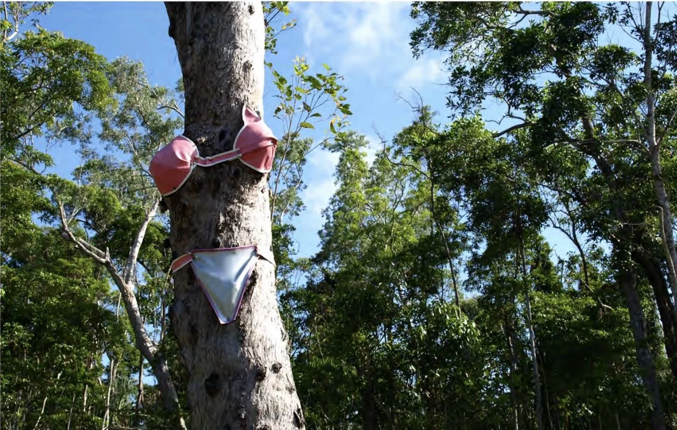 Screenshot 2026-02-16 at 14.03.14.jpg