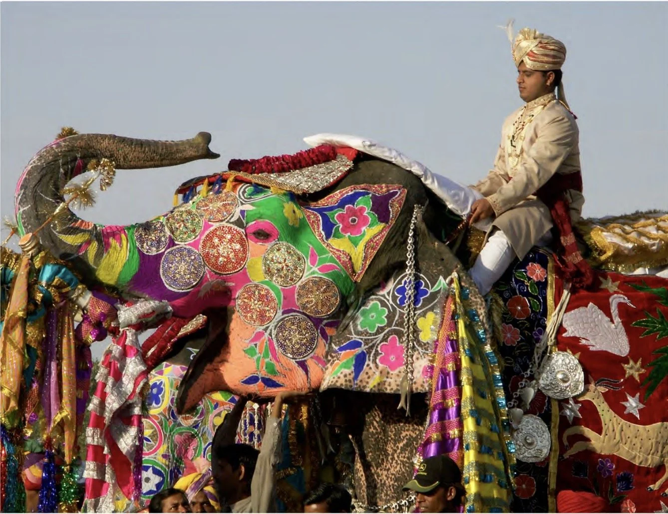 Screenshot 2026-02-16 at 14.03.35.jpg