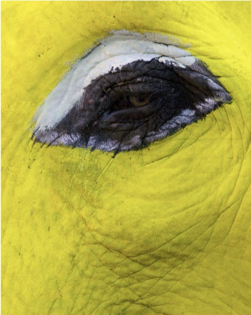 Screenshot 2026-02-16 at 14.18.13.jpg