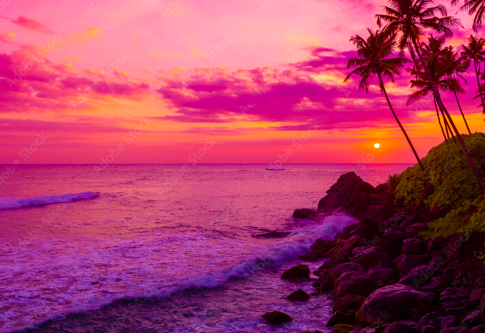 Celebrate the Sweetness of Summer’s Last Glow 