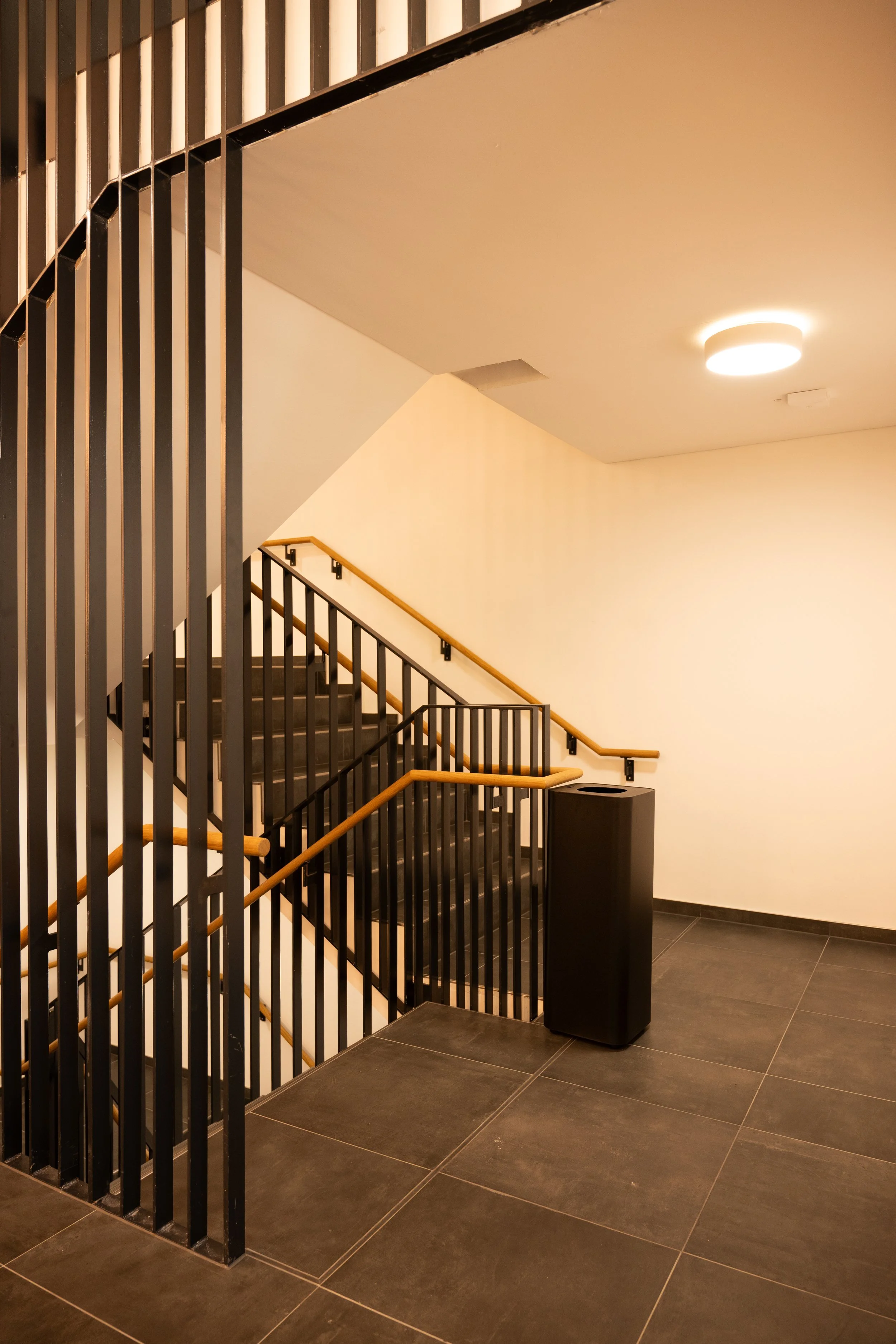 ABR_7879-193.jpg