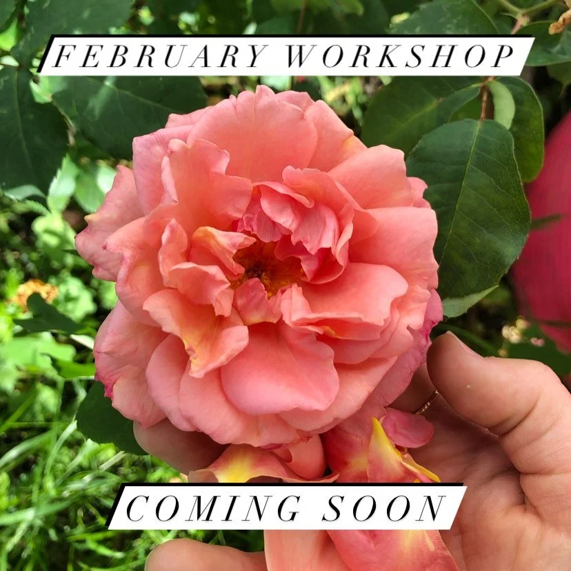 Happy new year everybody! While we&rsquo;re still in the depths of winter I&rsquo;m thinking ahead to Valentine&rsquo;s Day ❣️ 

I&rsquo;ll be hosting my first tea and herb workshop alongside my lovely friend Shannon  @thewisdomwench on the 13th of F