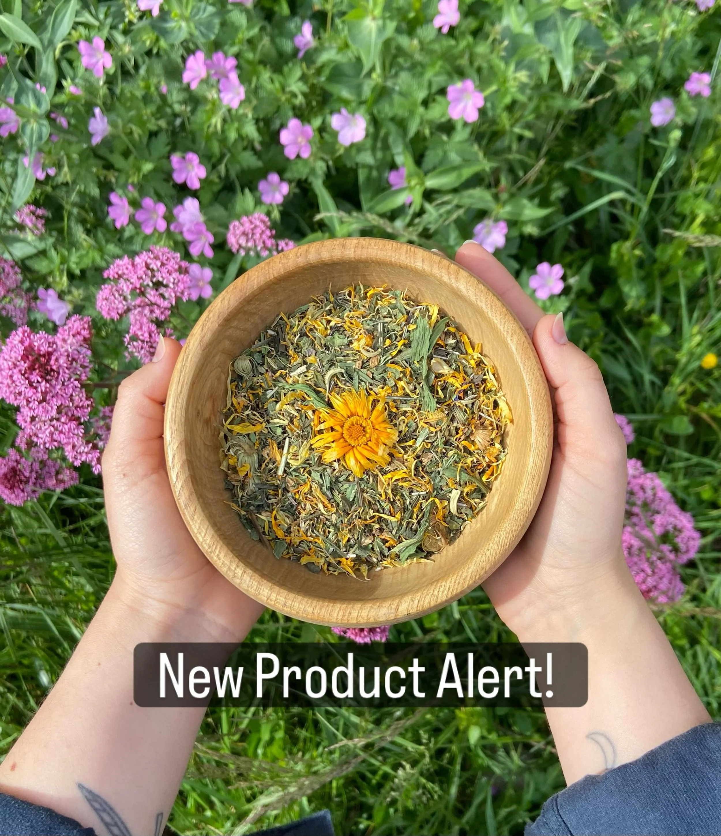 🌱New Tea Alert🌱

I&rsquo;ve been working on this blend on and off for a few months and I know a lot of you have been waiting on a digestive health tea, so I&rsquo;m very excited to get this tin of goodness out into the world! 

The tea is now live 