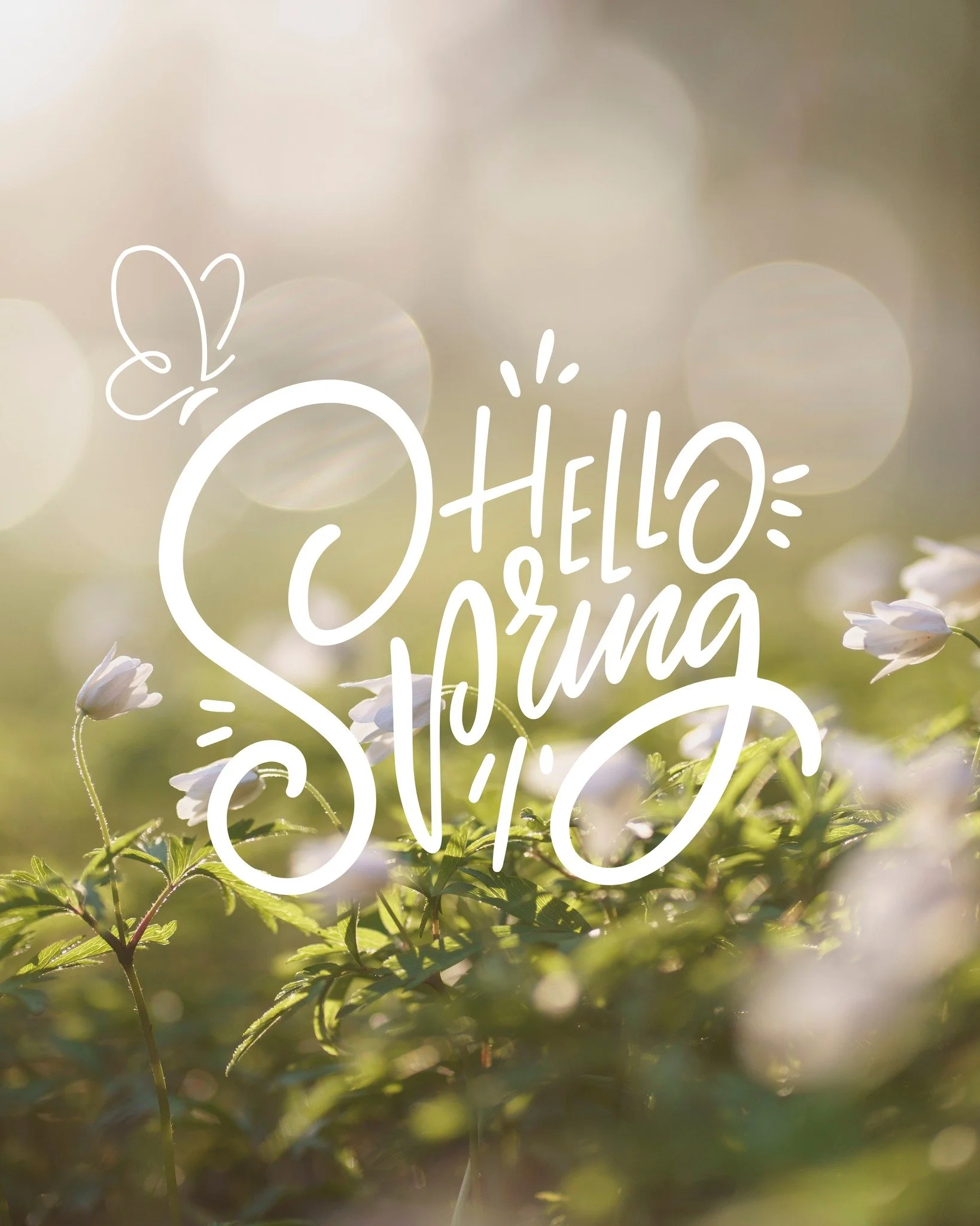 April is here and something in the air just shifted.
This month is yours.
A fresh page. A new season. A reason to come back to yourself.
Your skin has been working hard. Holding the weight of winter, shifting hormones, stressed nervous systems. It's 