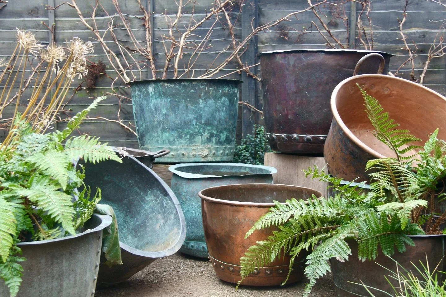 The ever growing collection of original antique copper pots. Sourced over the years with my long suffering antique dealing dad @michaelgermanantiques , these make for amazing garden planters - some of which you might see on our Chelsea Flower Show ga