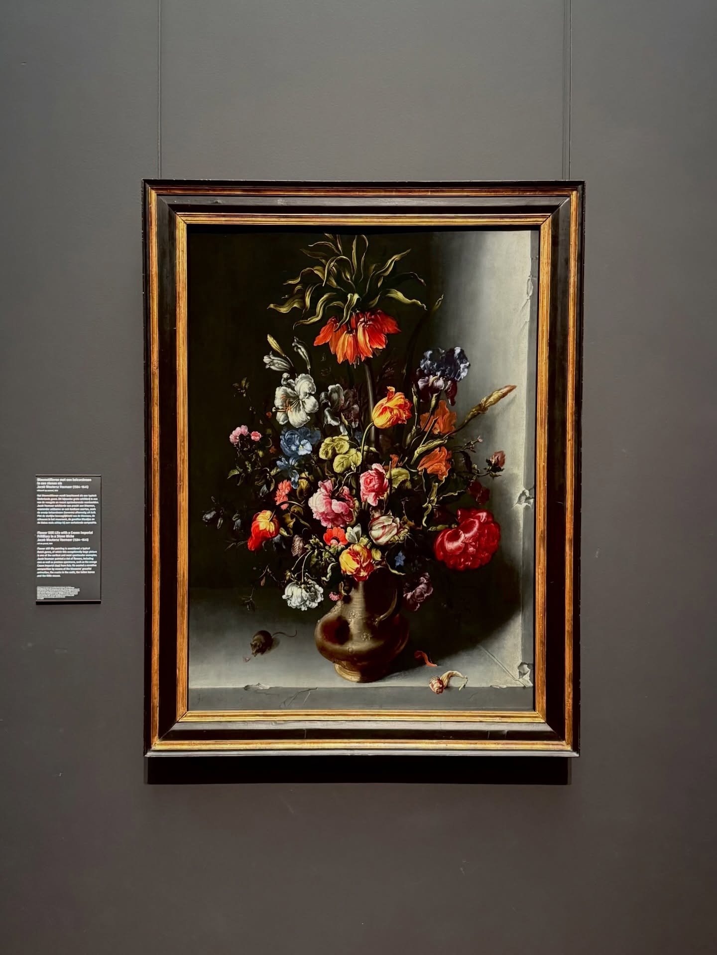 Dutch Masters 

#dutchmasters #myvikingjourney #rijksmuseum #amaterdam #culturevulture