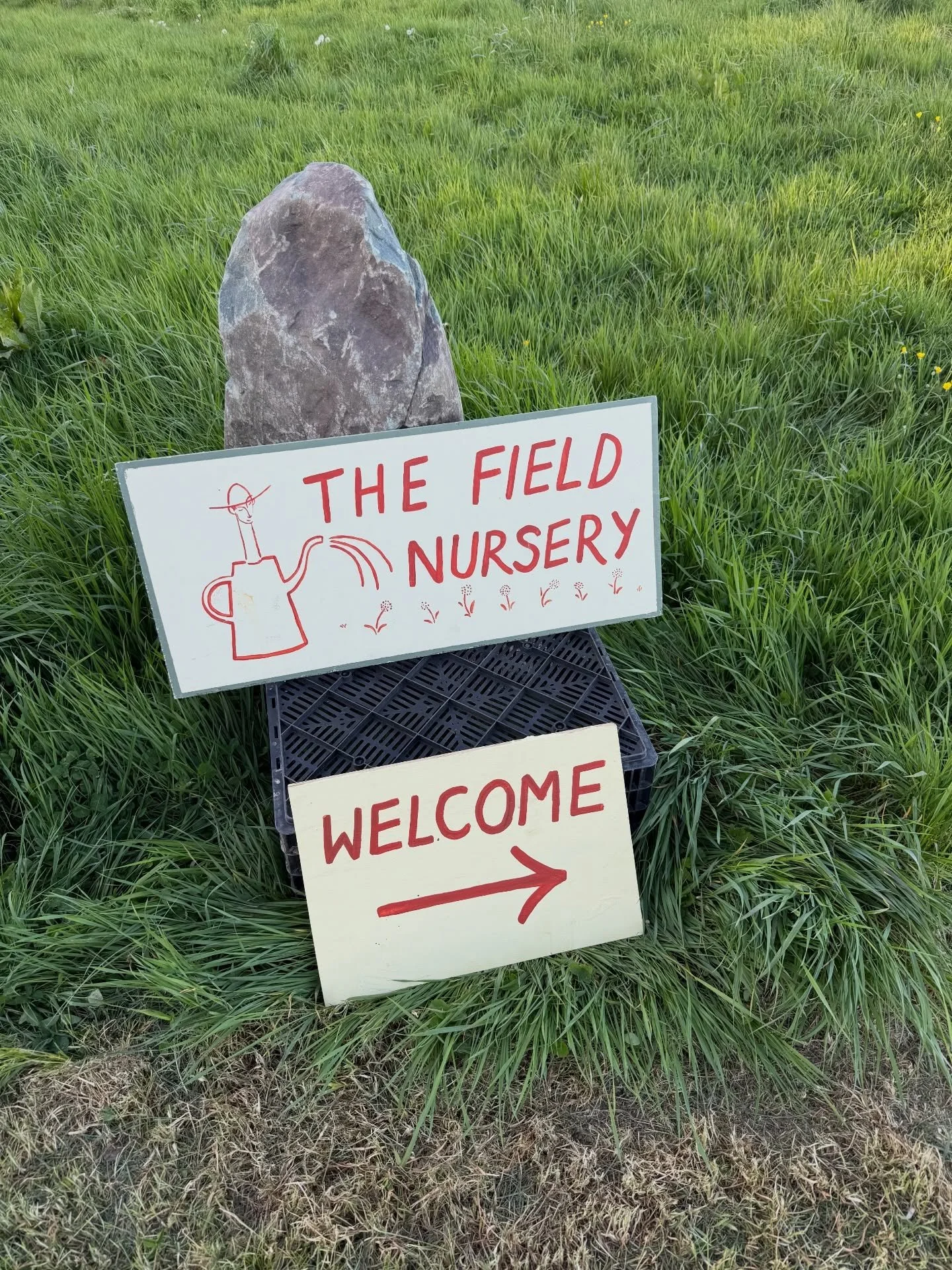 A very warm welcome from @j.bruce.garden to his wonderful Field nursery. 

Raising a glass to @daniel.james.co @harriet.bruce @plantyjane and many others who have been on the journey to the start line. A true family affair! 

Special mention to Jane 