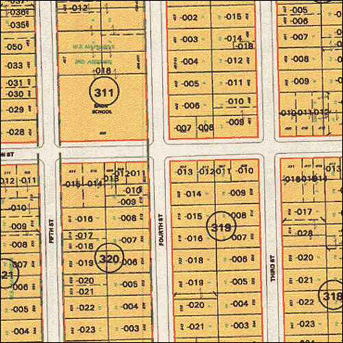 Area 11