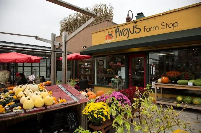 Farm stand at Argus Farm Stop with pumpkins, yellow, purple, and green plants, and a building with a yellow sign reading "Argus Farm Stop".