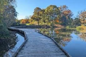 A winding wooden boardwalk over a calm body of water in a natural setting with trees in autumn colors.