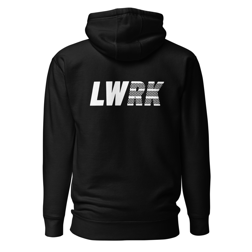 unisex-premium-pullover-hoodie-black-back-6a0b77dc591cb.png