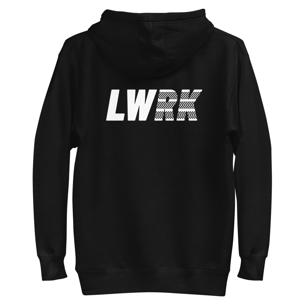 unisex-premium-pullover-hoodie-black-back-6a0b754acfbe2.png