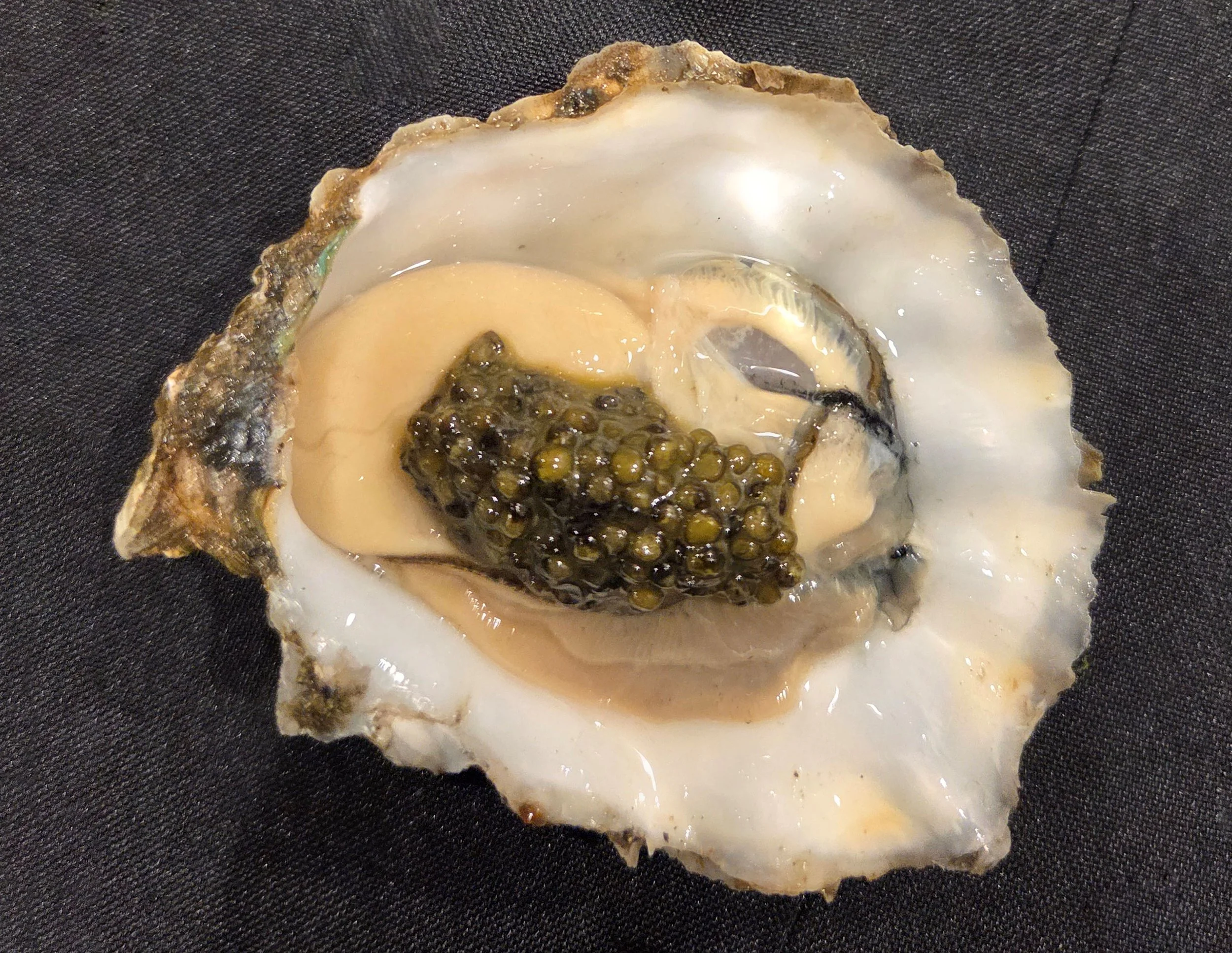 Freshly Schucked Oyster topped with preium caviar