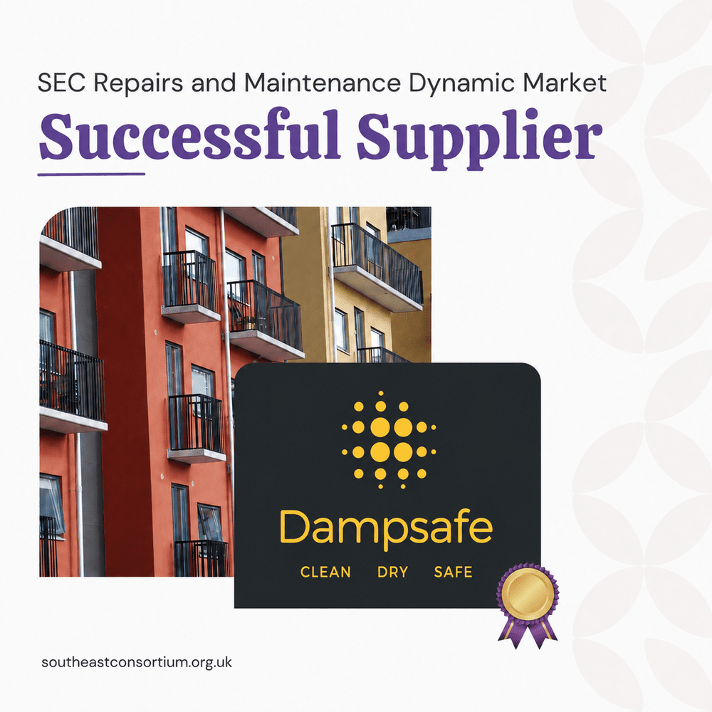 SEC Repairs and Maintenance Dynamic Market Successful Supplier graphic featuring Dampsafe