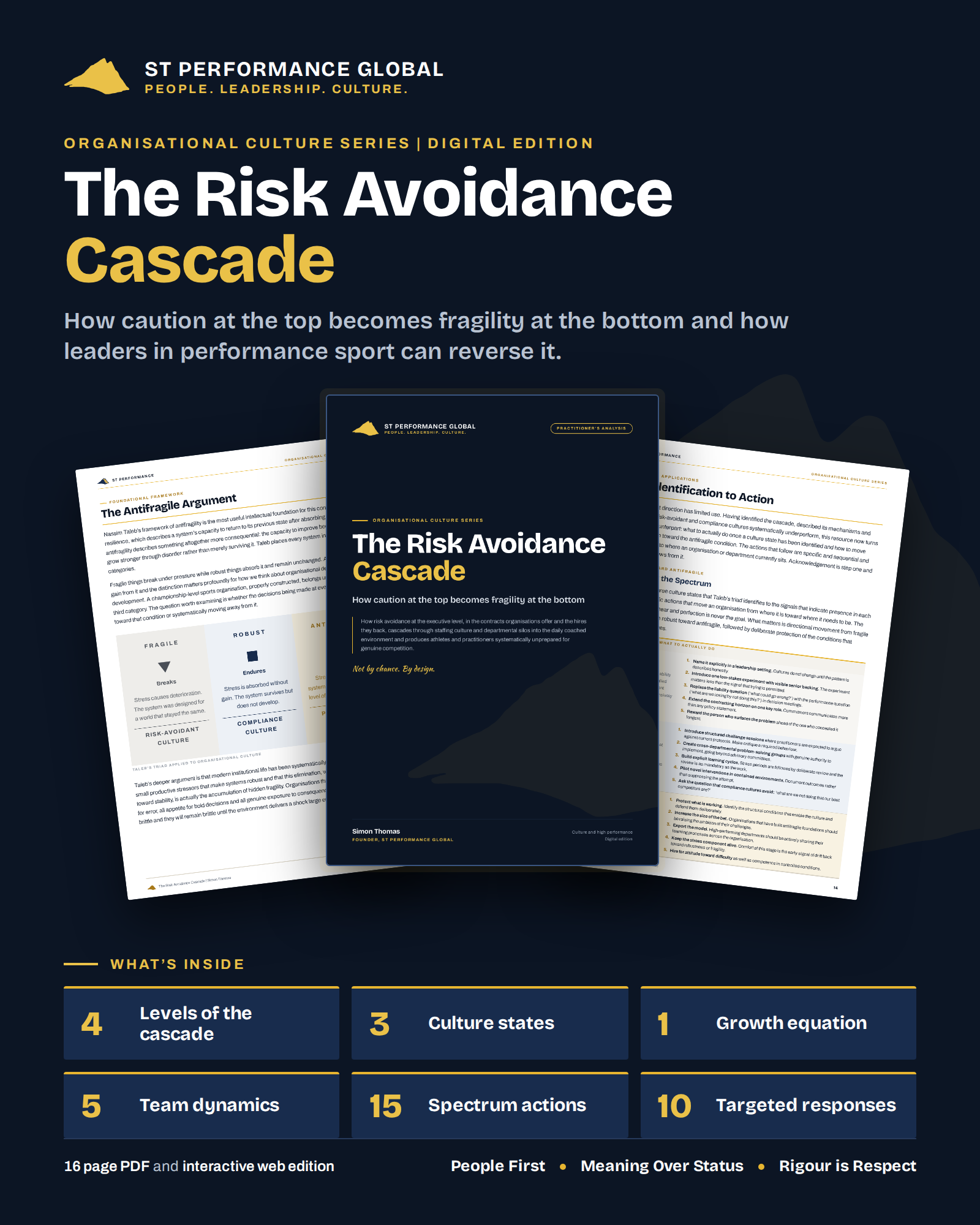 the-risk-avoidance-cascade-preview.png