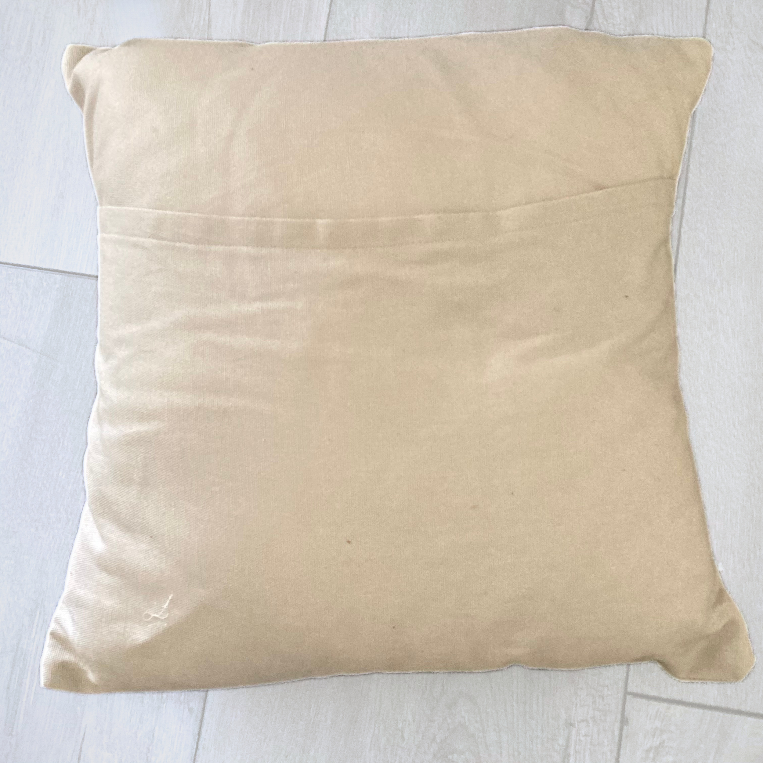 back pillow.png (Copy)