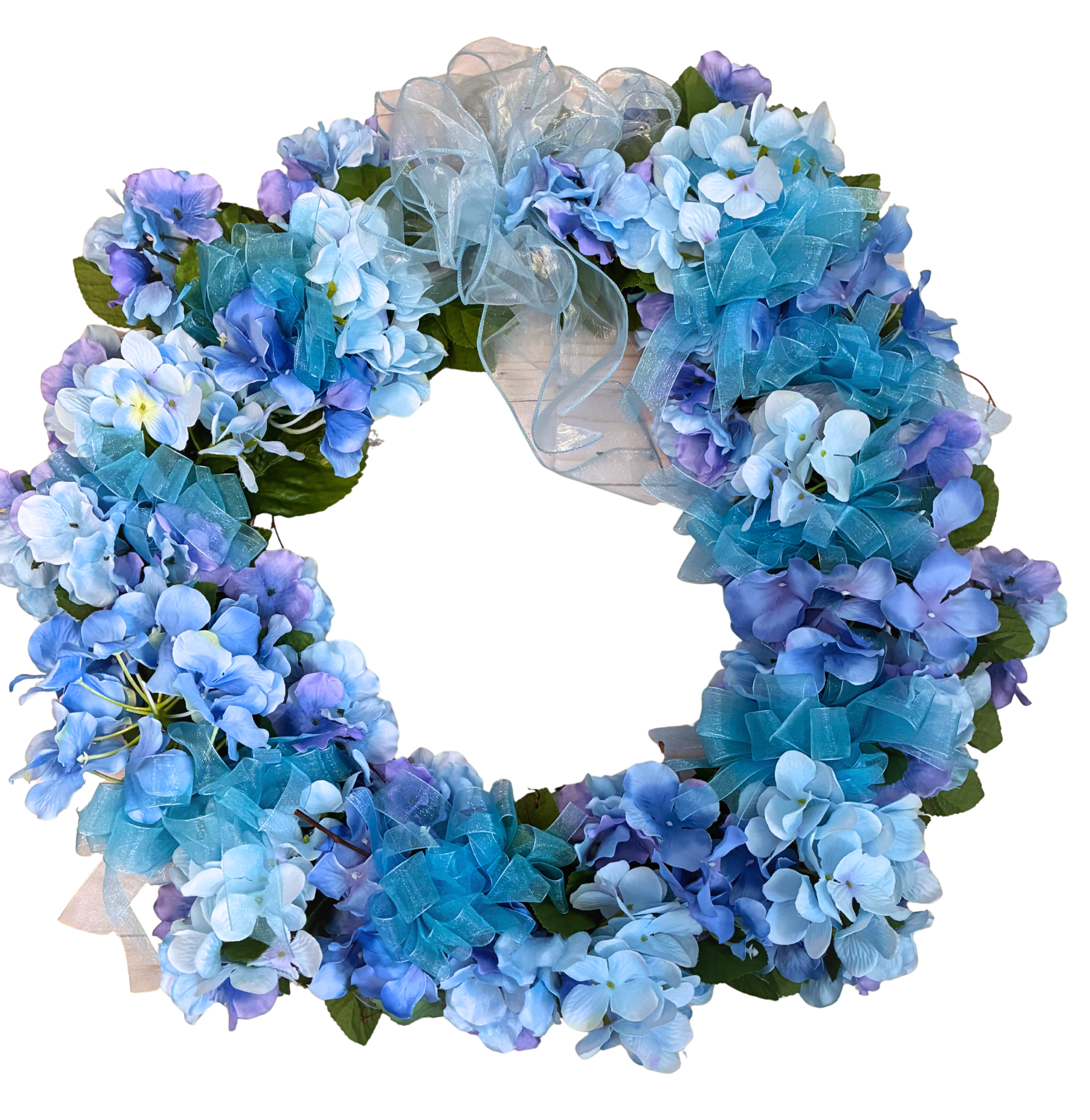 blue hydrangea white backgrd (1).png