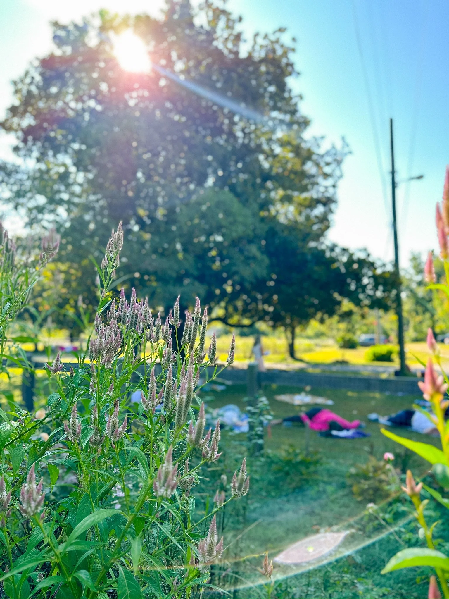 The 4 Elements Guided Meditation