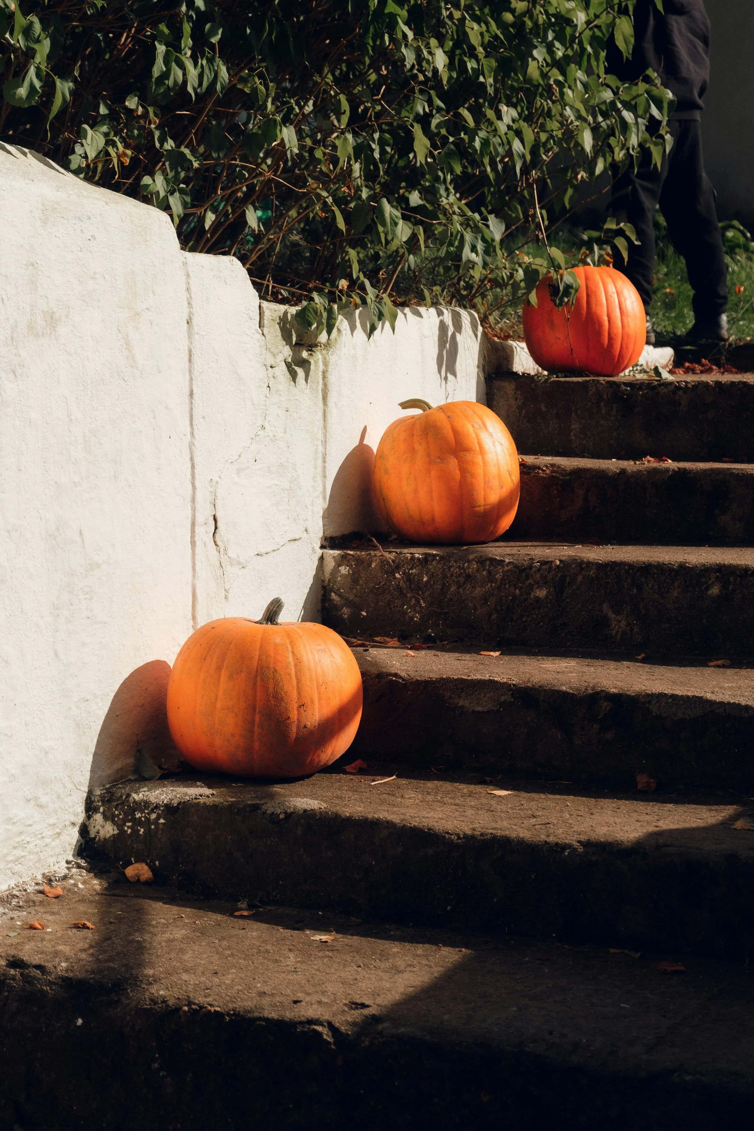 The Sacred (&amp; Spooky) Practice of Welcome