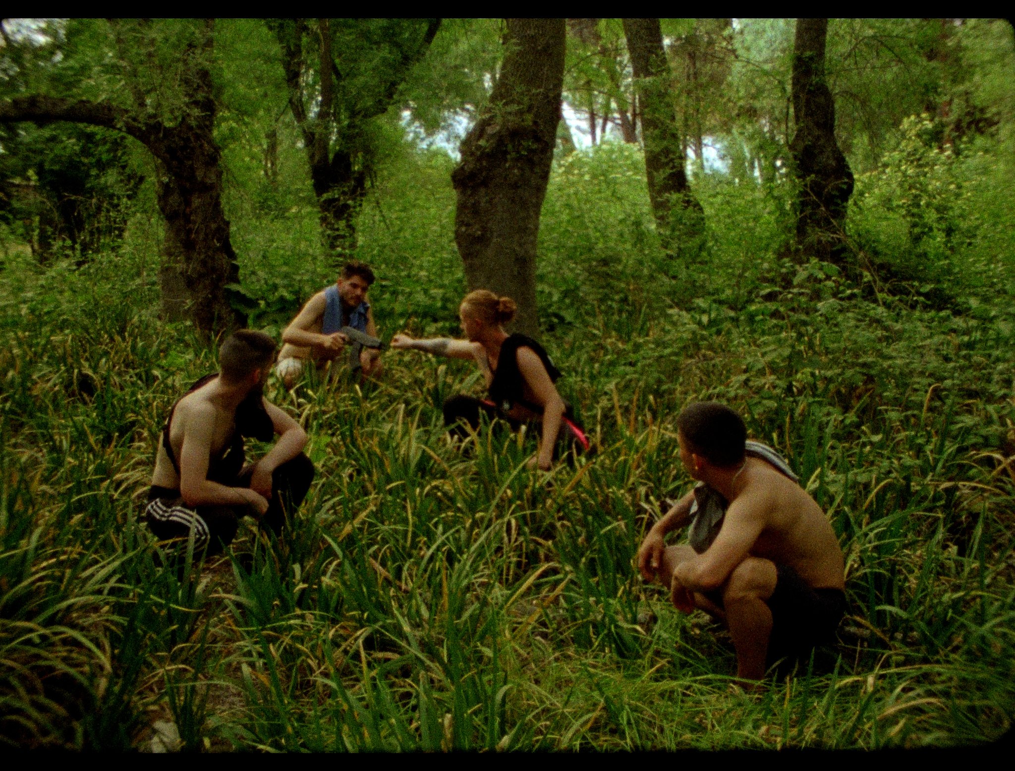 Bosque real.00_19_38_07.Still002.jpg
