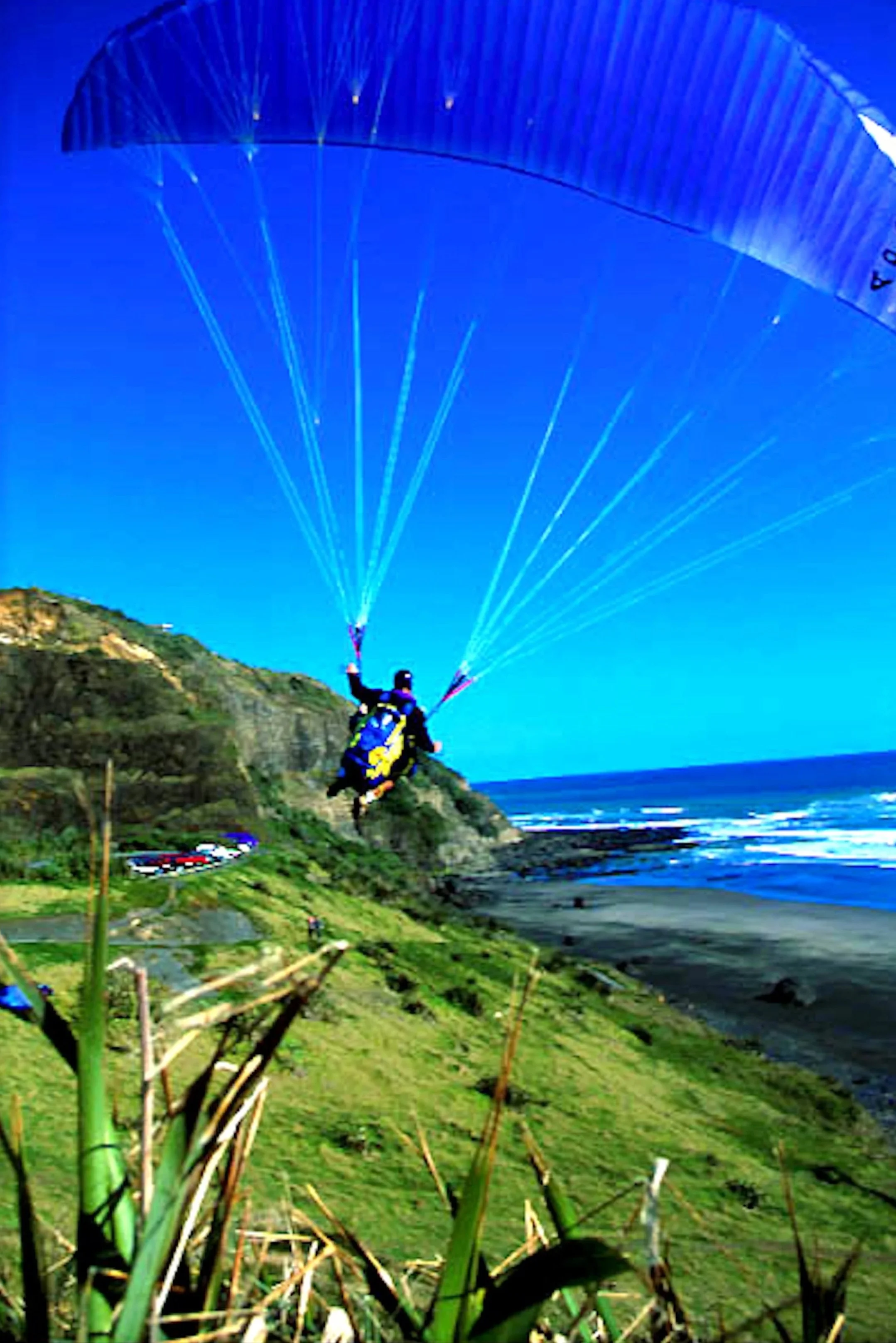 SUSAN REDSTONE NEW ZEALAND 