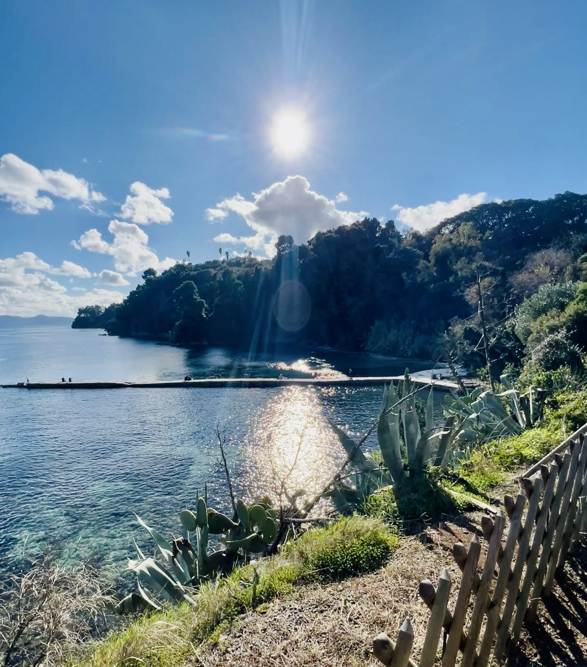 Mon Repos Park Corfu ( Durell's Corfu location) 