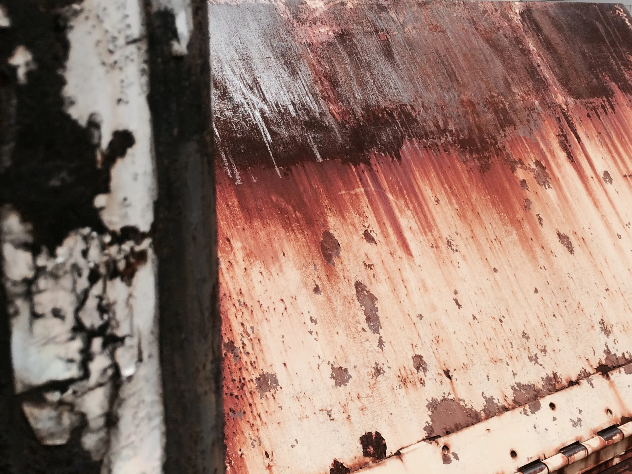 "The Delight Of Decay"