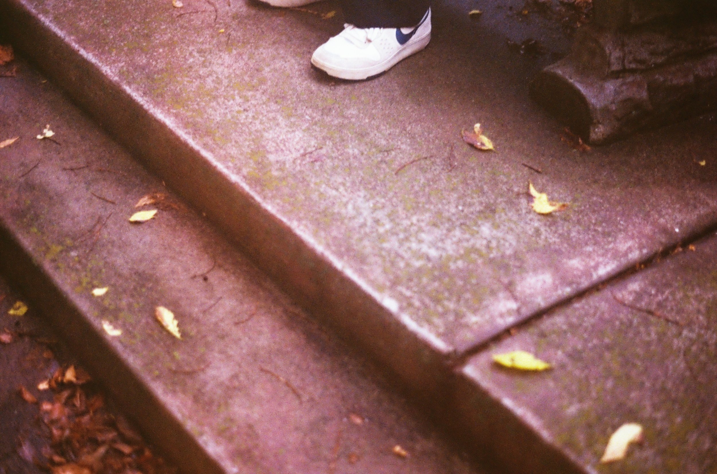 The Leaves by Joseph Garabed